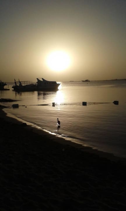 Sunrise SUNRISE Royal Makadi Resort