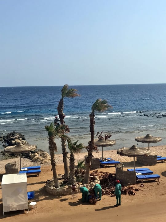 Strand Pickalbatros Citadel Resort