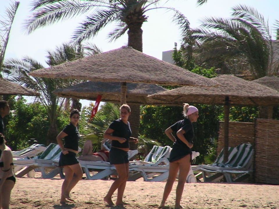 Animateure beim Clubtanz am Strand Fort Arabesque Resort, Spa & Villas