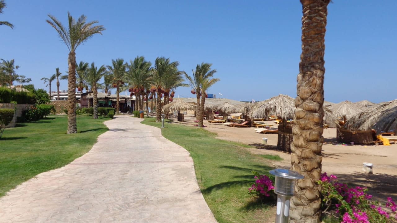 Пляж отеля Sentido Caribbean World Soma Bay