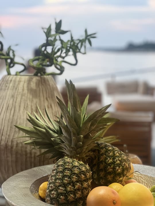 Gartenanlage Marea Suites Valamar Collection