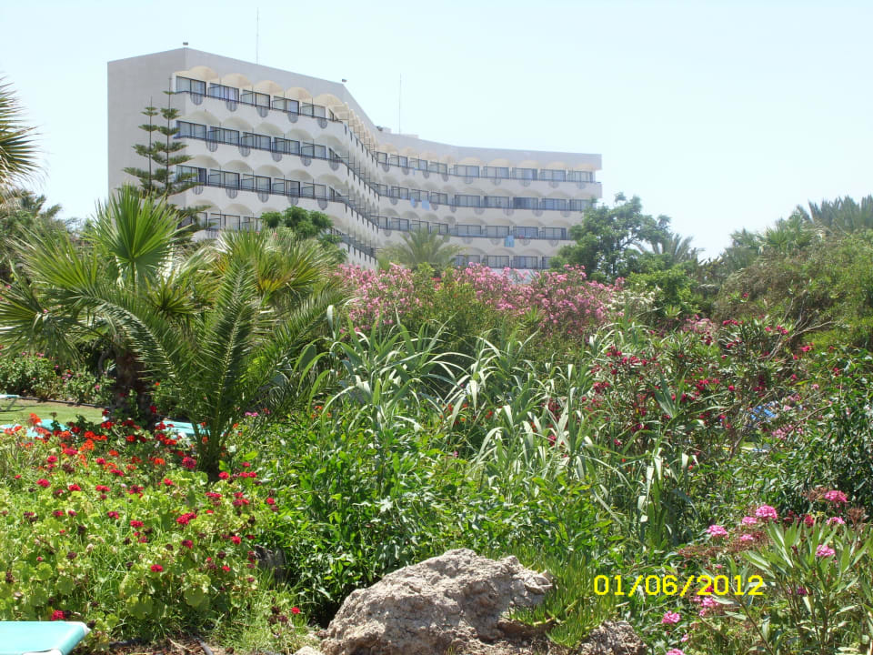 Ansicht vom Strand Crystal Springs Beach Hotel