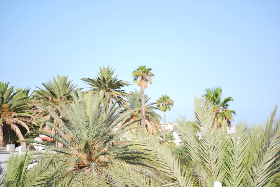 Gloria Palace San Agustin Thalasso & Hotel Gloria Palace San Agustin Thalasso & Hotel