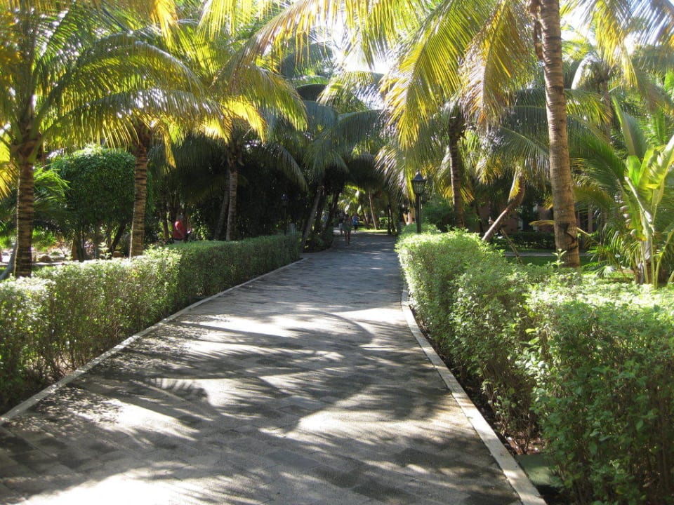 Gartenanlage Riu Tequila Hotel Riu Tequila