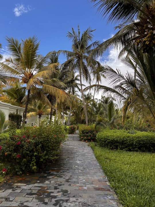 Gartenanlage Baraza Resort & Spa