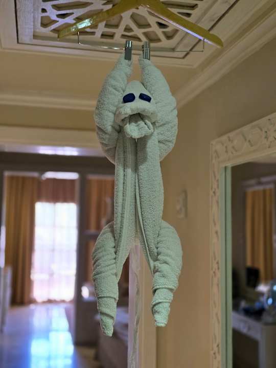 Zimmer Makadi Spa - Adults only