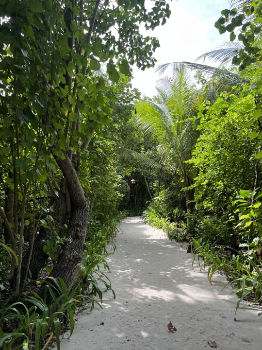 Gartenanlage Reethi Beach Resort