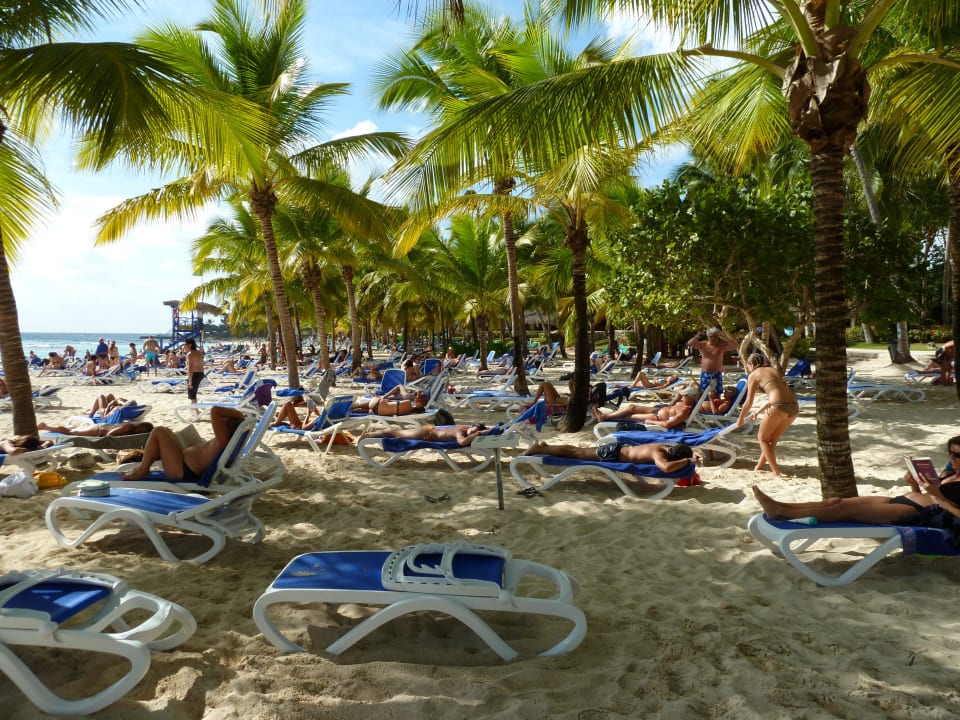 Leider voll und laut Hotel Viva Dominicus Palace by Wyndham-All Inclusive Resort
