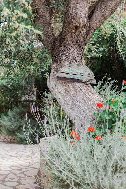 Außenansicht Afroditi Pansion