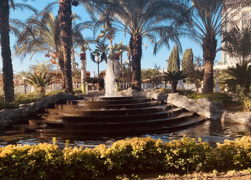 Gartenanlage Royal Wings Hotel