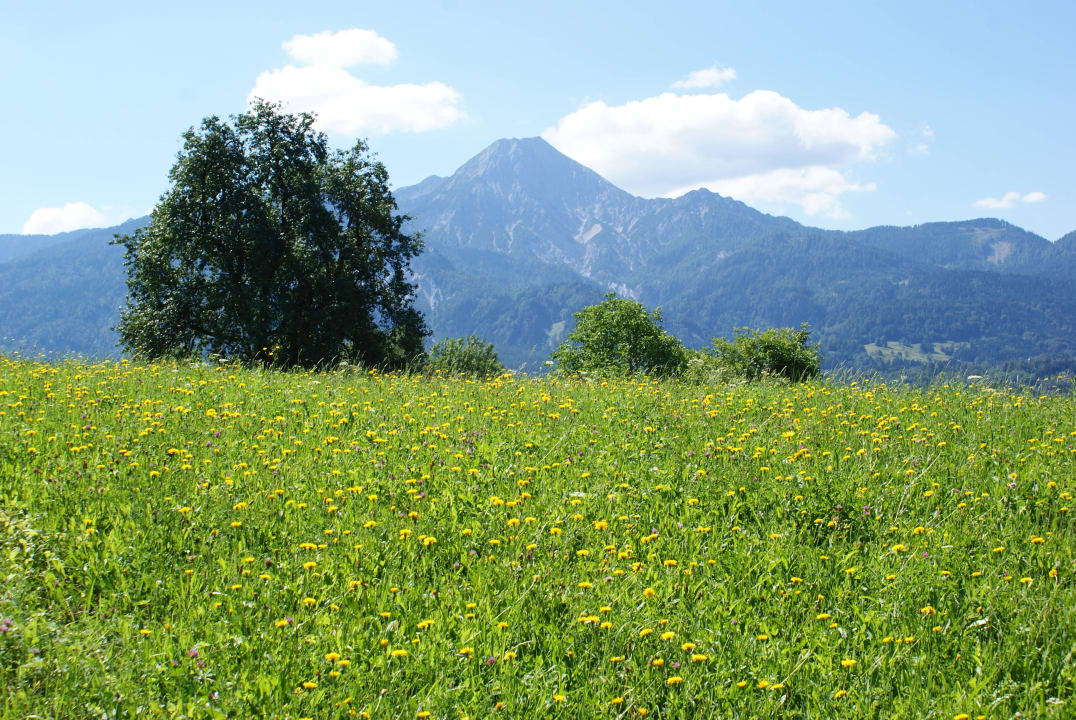 Auf einer Wanderung Naturel Hoteldorf Seeleitn
