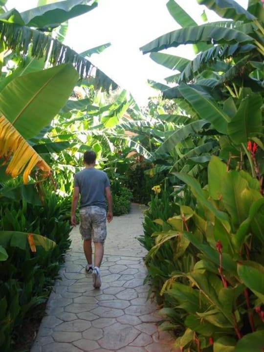 Wege zu den Häusern St. George's Bay Country Club