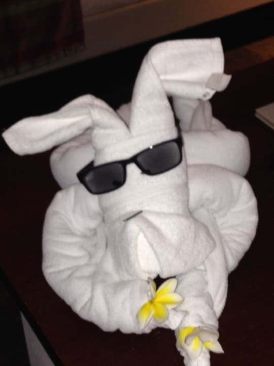 Kreative Reinigungskraft Solana Beach Mauritius