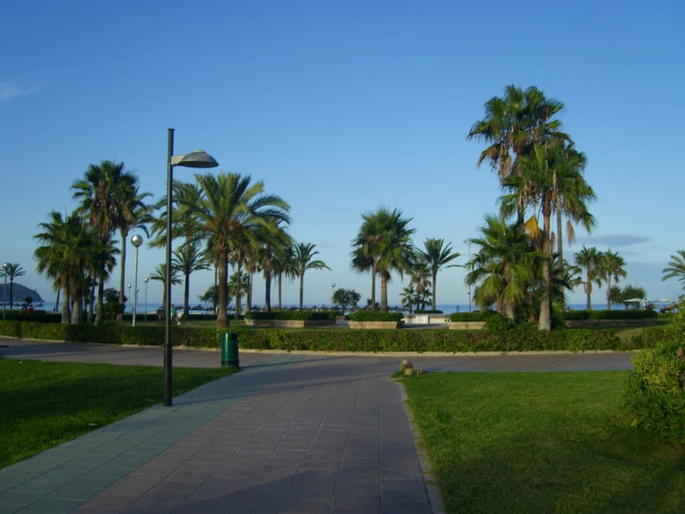 Weg zum Strand Hipotels Cala Millor Park