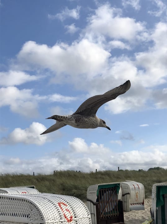 Strand Ferienwohnungen Ferienpark Weissenhäuser Strand