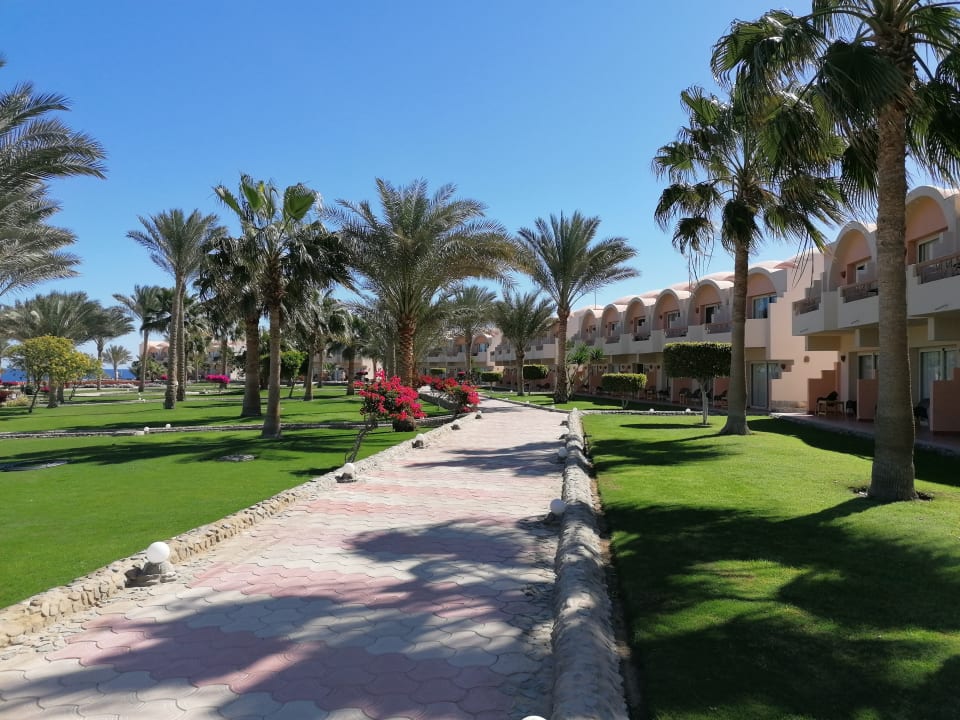 Gartenanlage Three Corners Sea Beach Resort