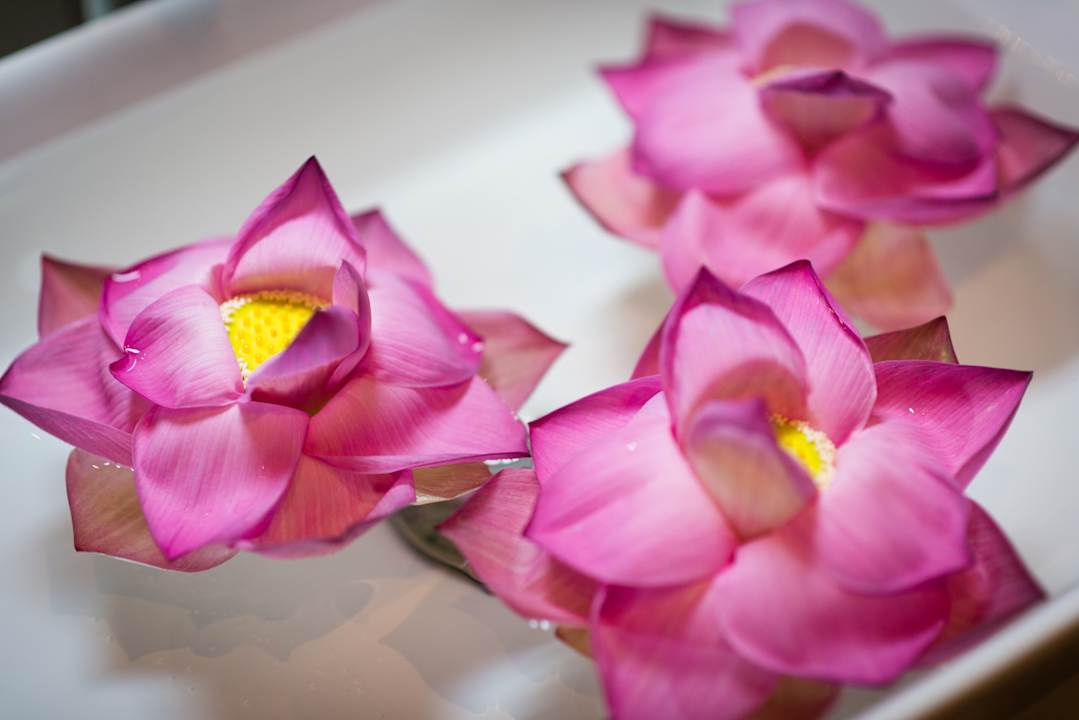 Zimmer Sokkhak Boutique Resort