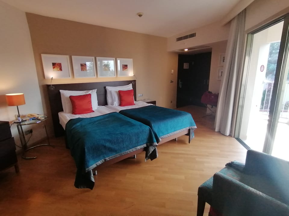 Zimmer Arum Barut Collection