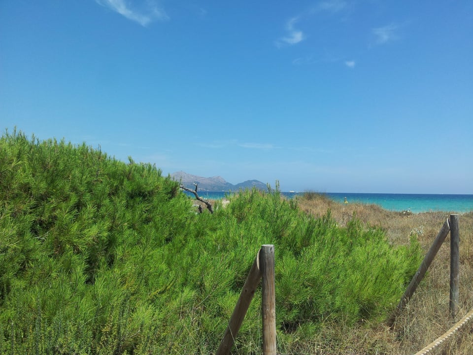 Dünen Playa Garden Selection Hotel & Spa