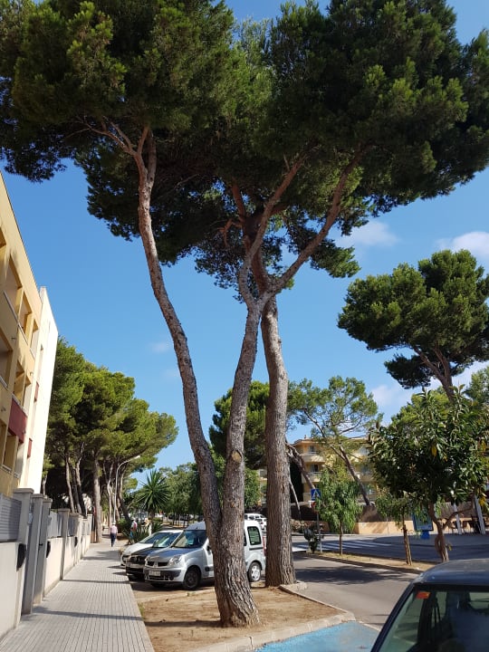 Ausblick Hotel Bella Mar