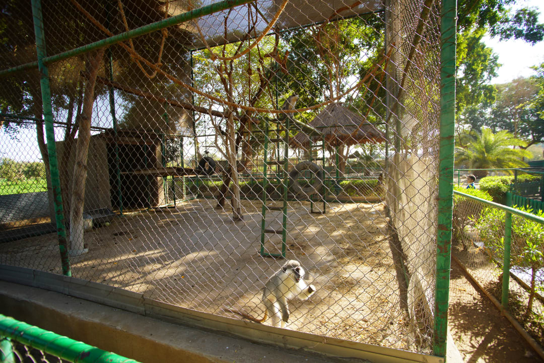 Gartenanlage Jolie Ville Kings Island Luxor