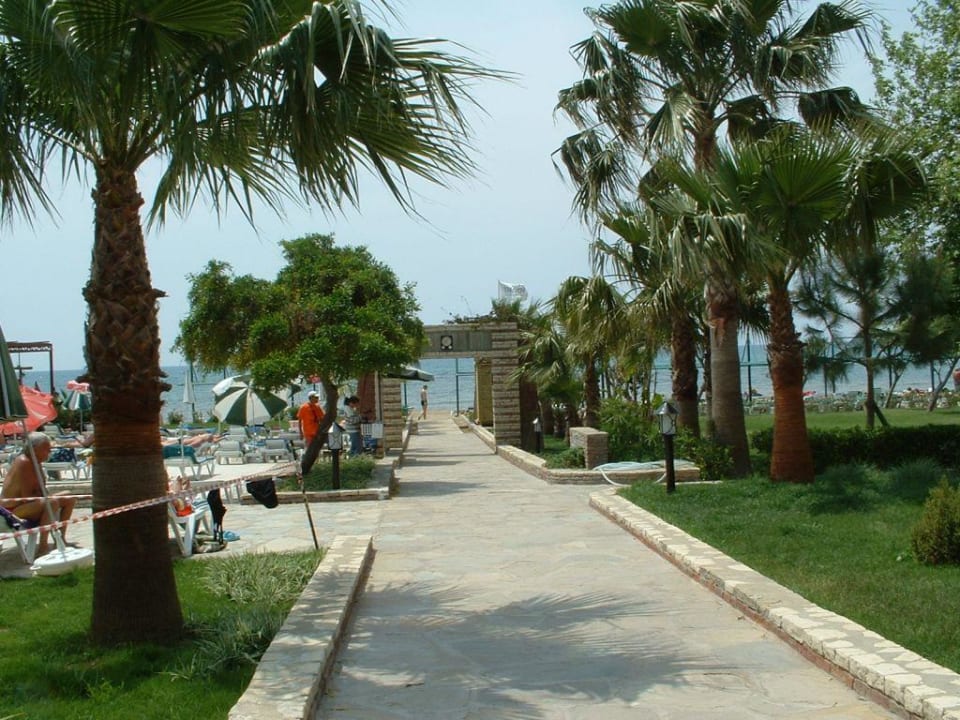 Strandblick Trendy Palm Beach (Adults Only, 16+)