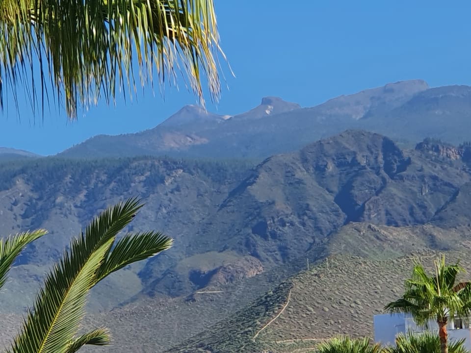 Ausblick allsun Hotel Los Hibiscos