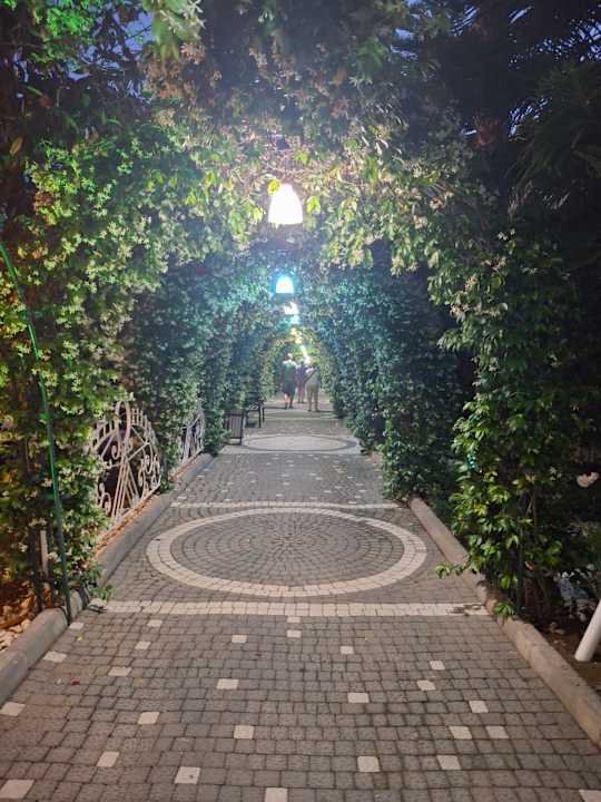 Außenansicht Dream World Hill Hotel
