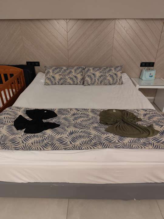 Zimmer Calimera Delfino Beach Resort & Spa