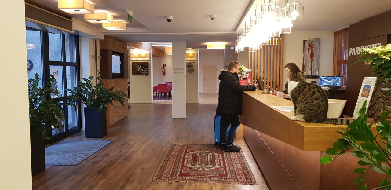 Lobby Parkhotel Brunauer