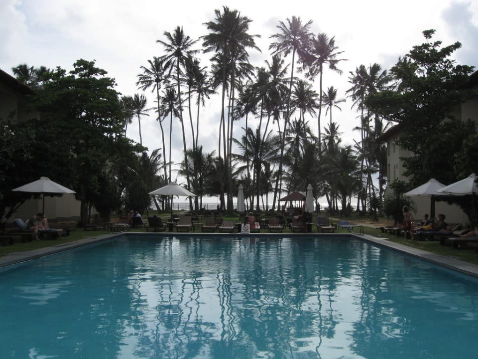 Traumhaft schön: der Palmengarten des Mermaid Mermaid Hotel & Club