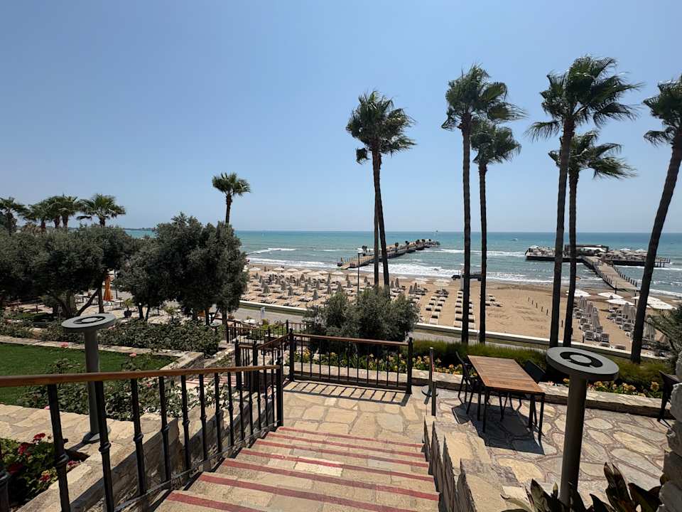 Strand Arum Barut Collection