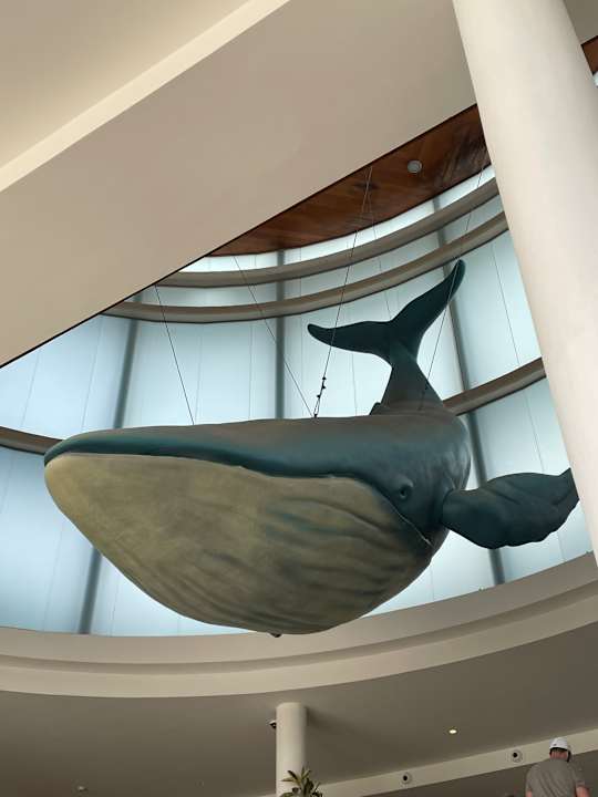 Lobby Iberostar Waves Gaviotas Park