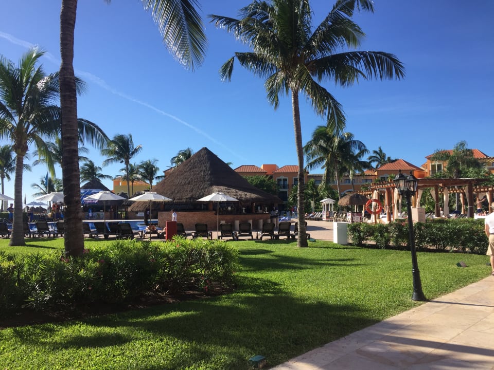 Pool Ocean Coral & Turquesa by H10