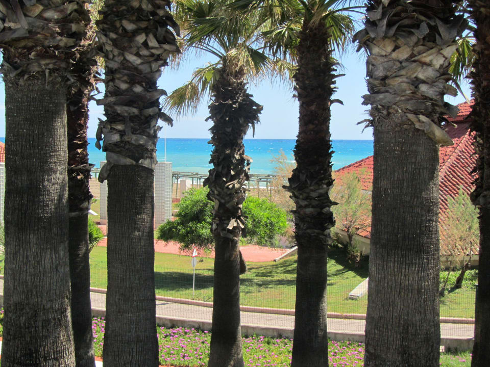 TT Hotels Seven Seas Imperial Monachus Family Resort Sorgun