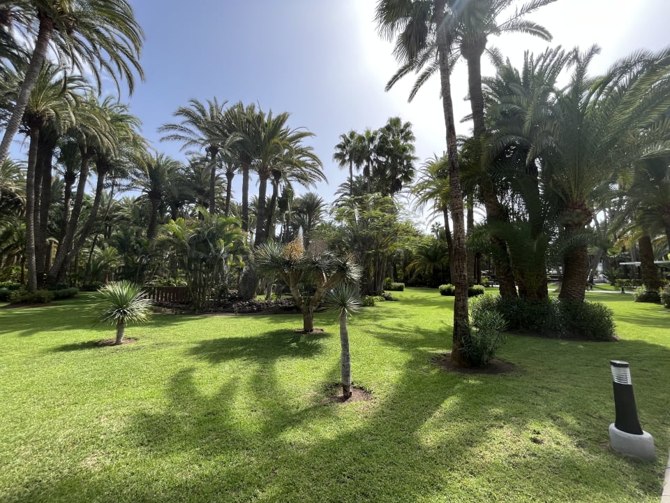 Außenansicht Hotel Riu Palace Oasis