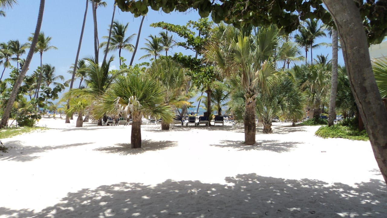 Schöner Strand - viel Platz Villas Bavaro Resort & Spa
