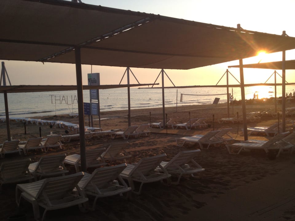 Hotel-Strand Hotel Thalia Unique