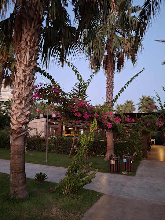 Gartenanlage Seaden Sea Planet Resort & Spa