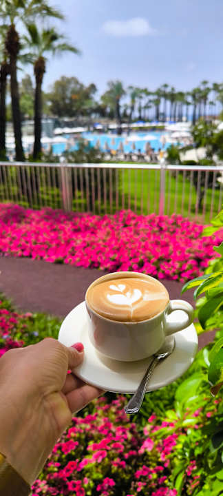 Gartenanlage Monachus Family Resort Sorgun