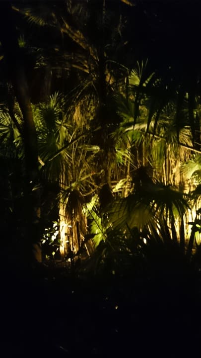 Nachts im "Dschungel" Catalonia Playa Maroma