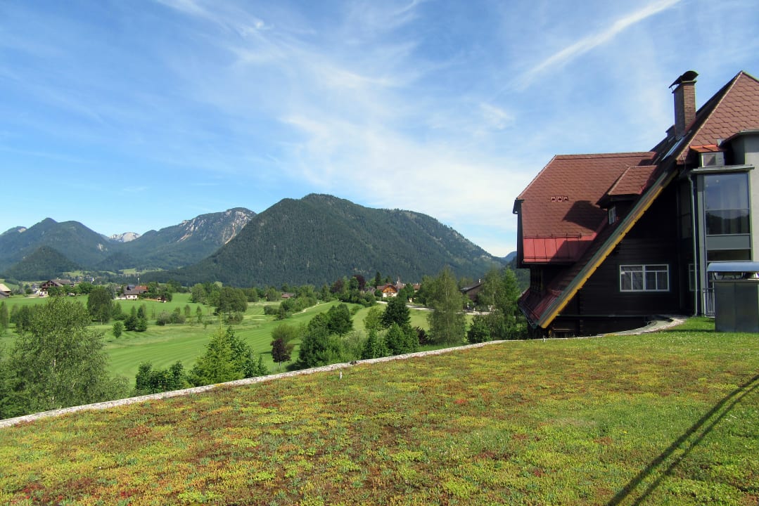 Ausblick Die Wasnerin