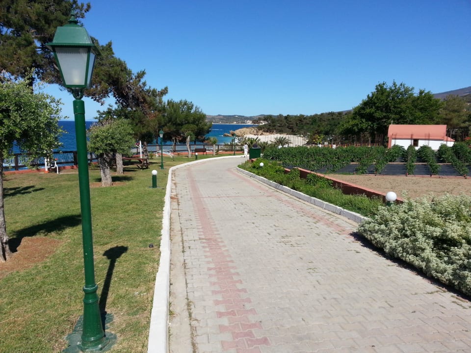Weg zum Strand Alexandra Beach Thassos Spa Resort
