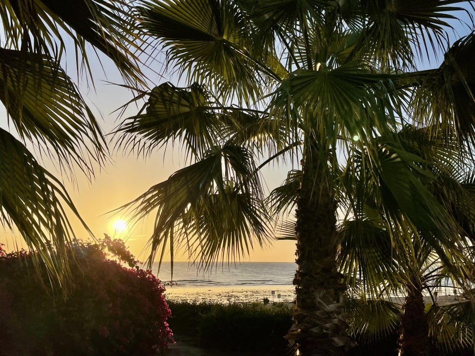 Gartenanlage Three Corners Equinox Beach Resort