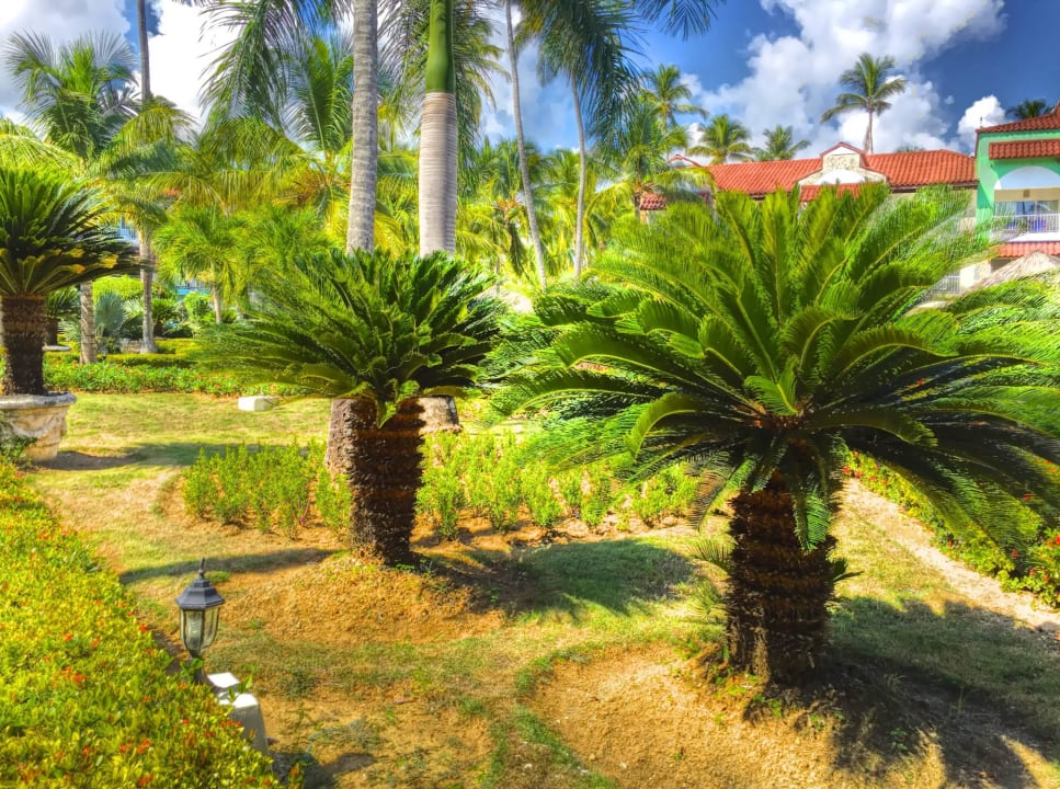 Hotelanlage TRS Turquesa Hotel - Adults only