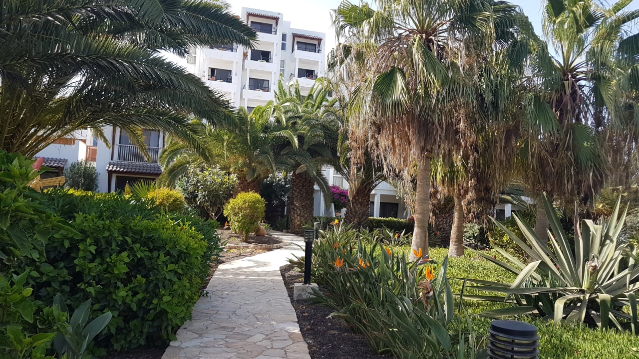 Gartenanlage Marina Playa Suite Hotel