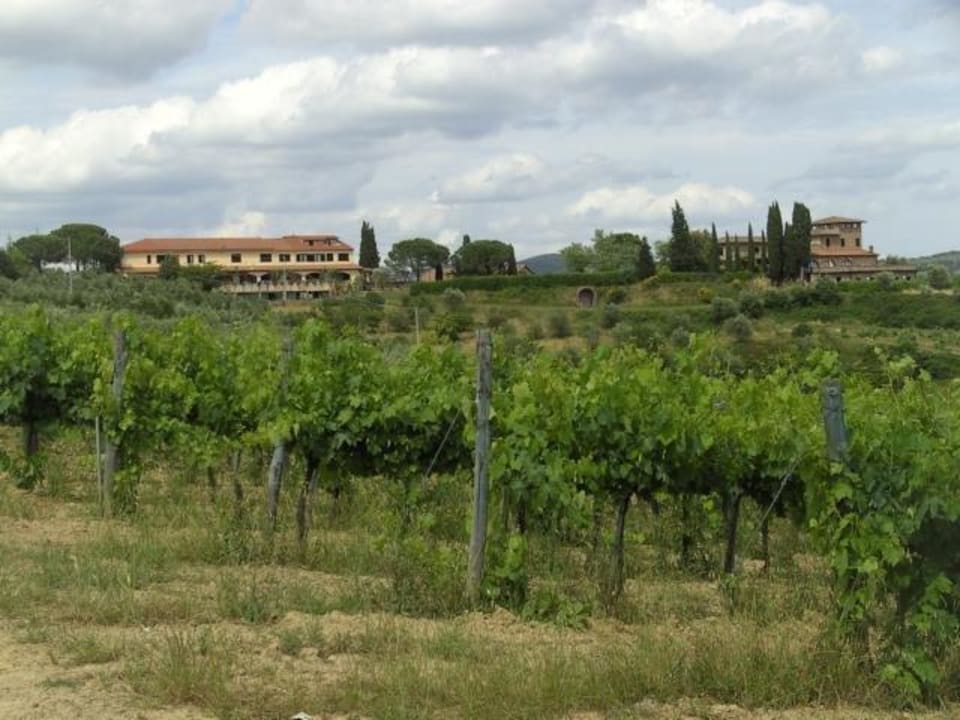 Hotel in landschaftlich schöner Lage La Loggia - Villa Gloria
