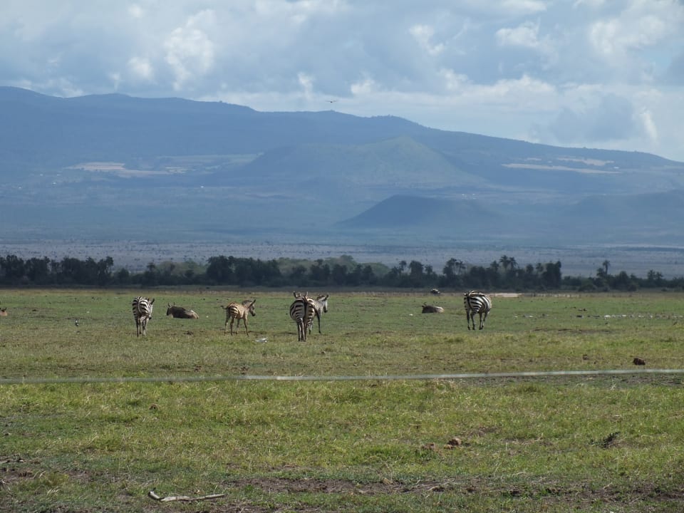 Ausblick Ol Tukai Lodge