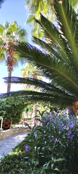 Gartenanlage Trendy Side Beach Hotel - Adults only