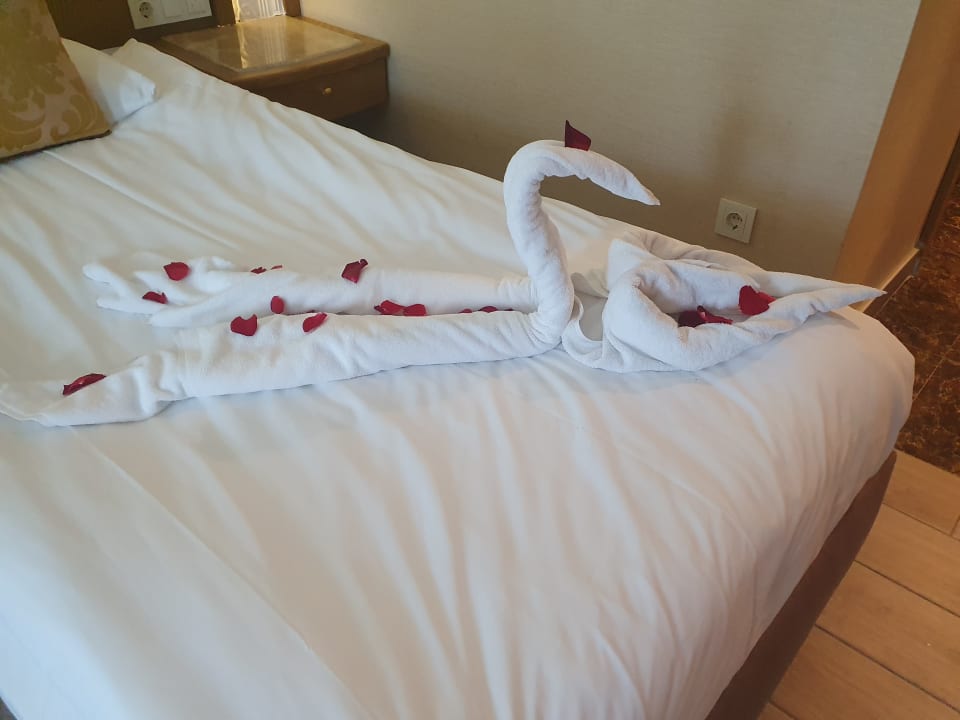 Zimmer Granada Luxury Okurcalar